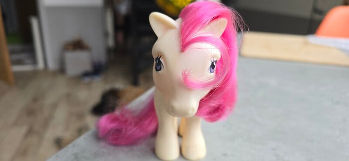 August Poppy Birth Flower Birthflower Birthday Mail Order MO HTF MLP G1 My Little Pony Hasbro