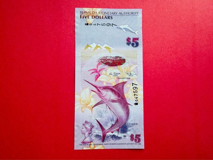 Bermuda. 5 DOLLARS. 2009. Pick  58a  Uncirculated