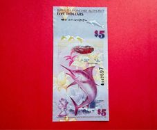Bermuda. 5 DOLLARS. 2009. Pick  58a  Uncirculated
