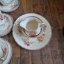 Staffordshire 21 piece Image 7