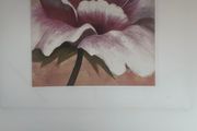 Pink Flower Picture