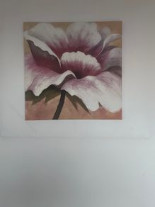 Pink Flower Picture