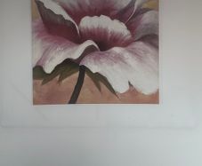 Pink Flower Picture