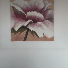 Pink Flower Picture