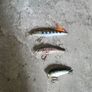 fishing lures Image 2