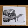 Unforgiven Press Kit Clint Eastwood Image 7