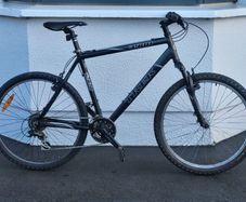 Trek 3900 Adults Bike