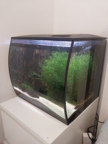 Fluval 57L aquarium kit