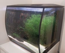 Fluval 57L aquarium kit