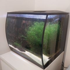 Fluval 57L aquarium kit