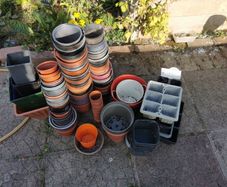 Flower Pots