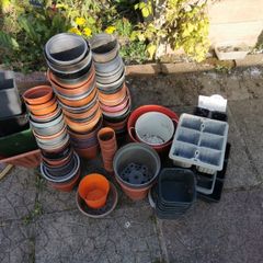 Flower Pots