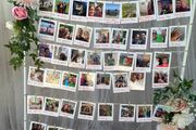 Crisp/Photo Wall for Wedding