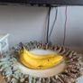 Handmade clay bowl home  decor Image 6