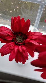Artificial Flowers