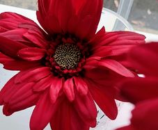 Artificial Flowers