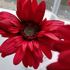 Artificial Flowers