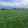 Meadows for Silage ( ready for cut) Image 2