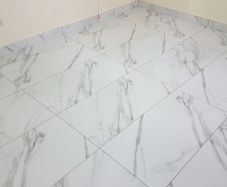 Professional Tiler