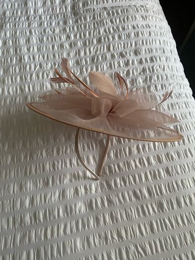 Mother of the bride/gromm dress+hatinator suze 14