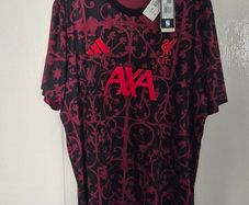 Adidas Liverpool Pre Match Shirt