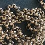 Antique 18ct rolled gold muff chain Image 6