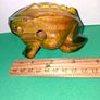 New Wooden Percussion Frog Image 2