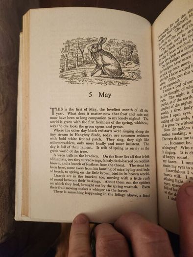 A Forest By Night. By Fred J. Spackman (authir Of A Poachers Tale). First Editions 1965 Hardback With Dustjacket In Good Condition  37.