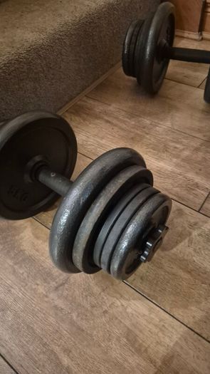 dumbells bench weights
