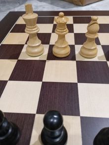 Wooden chess pieces french knight