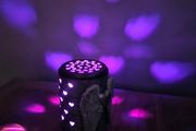 Black Light Table Lamp