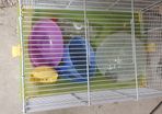 Hamster Cage