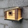 Bird house Image 2