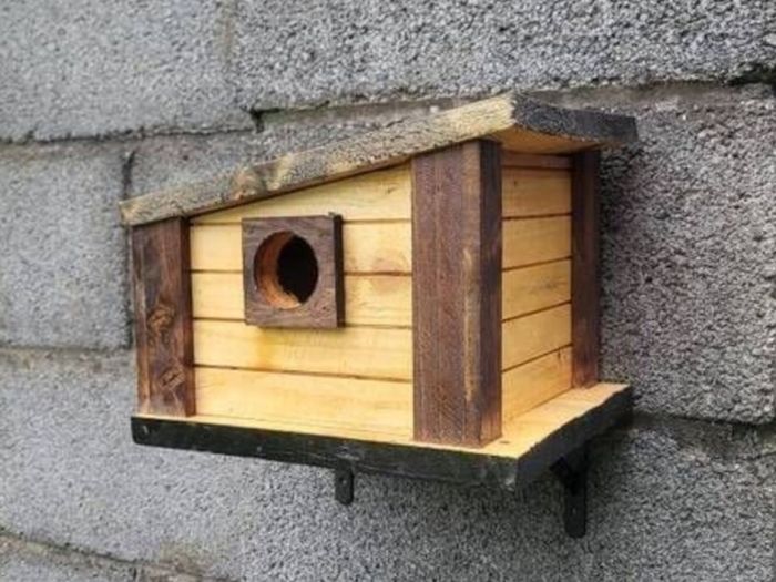 Bird house