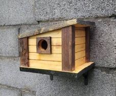 Bird house