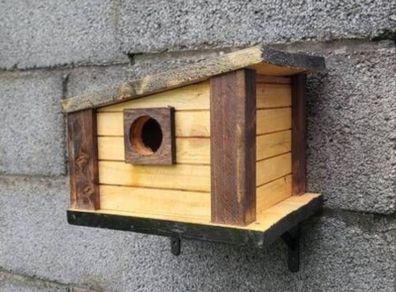 Bird house