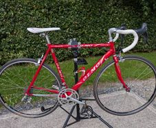 Olmo San Remo