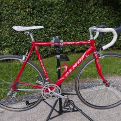 Olmo San Remo
