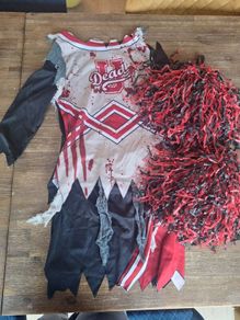 Girls Halloween costume age 11-12