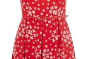 Oasis Red Skater Dress S16/42