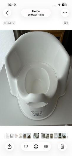 Baby Bjorn potty