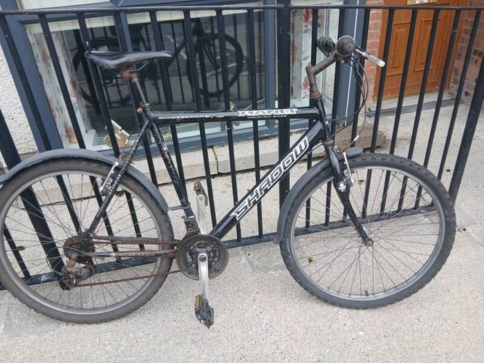 Adults Bike
