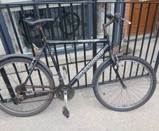 Adults Bike