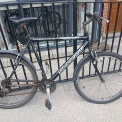 Adults Bike