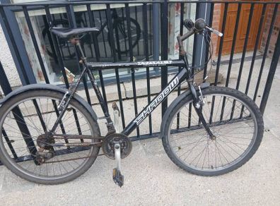Adults Bike