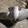 Mercruiser /Mercury marine duo props. Image 4