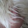 Large Sheepskin Rug Image 6