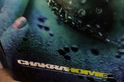 Chakra - home 12" vinyl