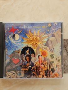 Tears For Fears CD  - The Seeds Of Love