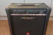Peavey Rage 158 Transtube Series Electric Guitar Combo Amp 15 Watt AmplifierI